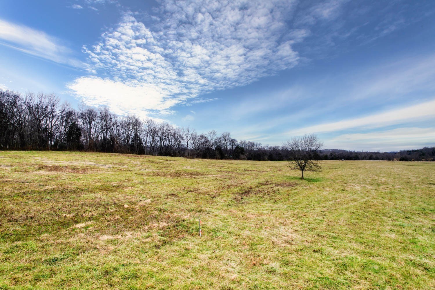 3 Poplar Hill Road Watertown TN 37184