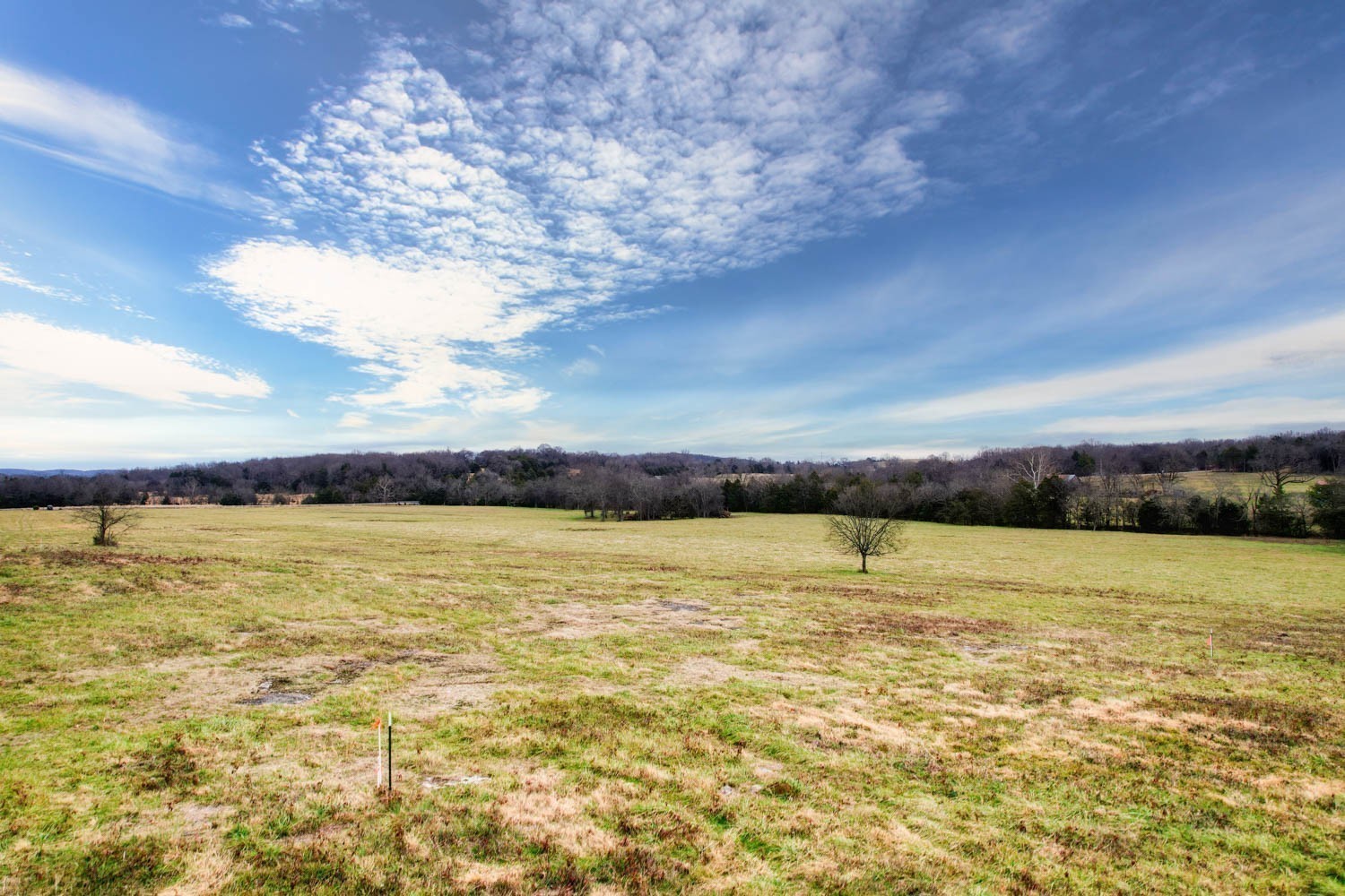 3 Poplar Hill Road Watertown TN 37184