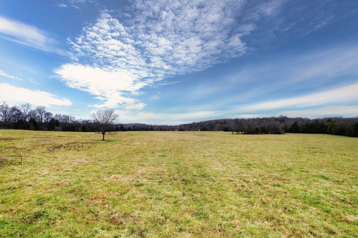 3 Poplar Hill Road Watertown TN 37184