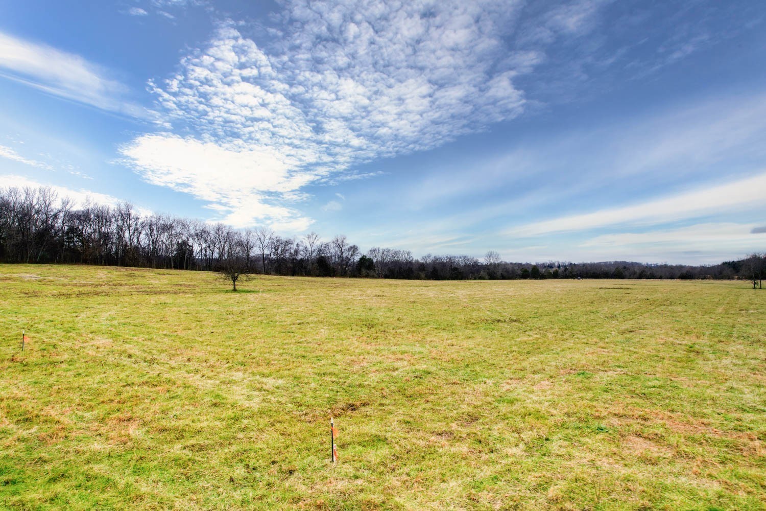 3 Poplar Hill Road Watertown TN 37184