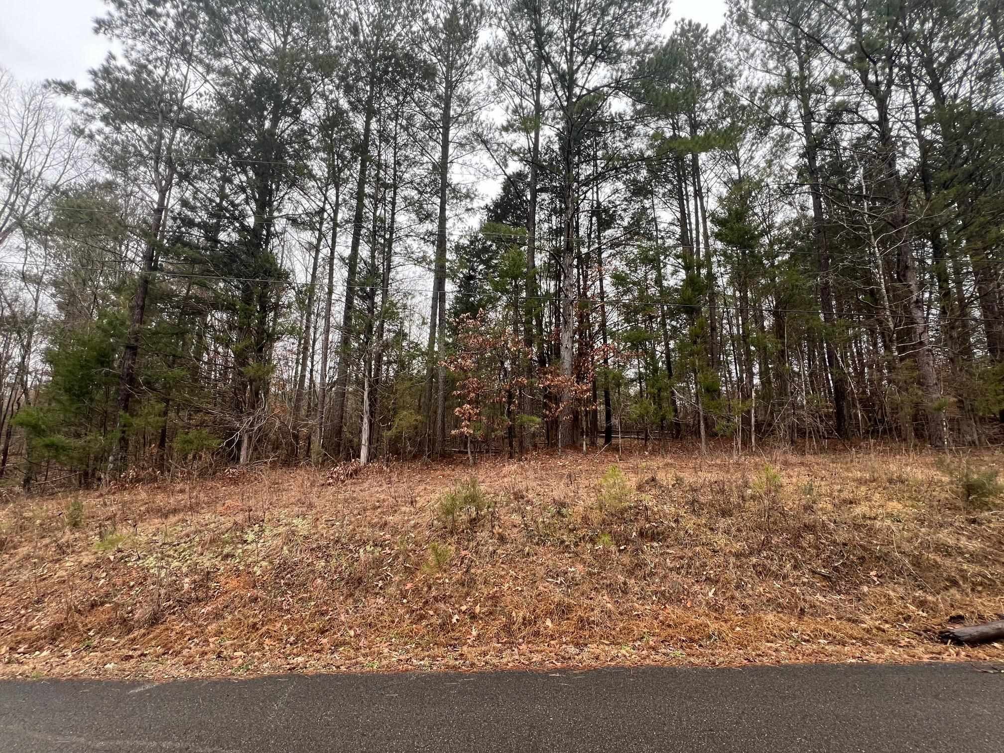 156 Iron Horse Trail Parsons TN 38363