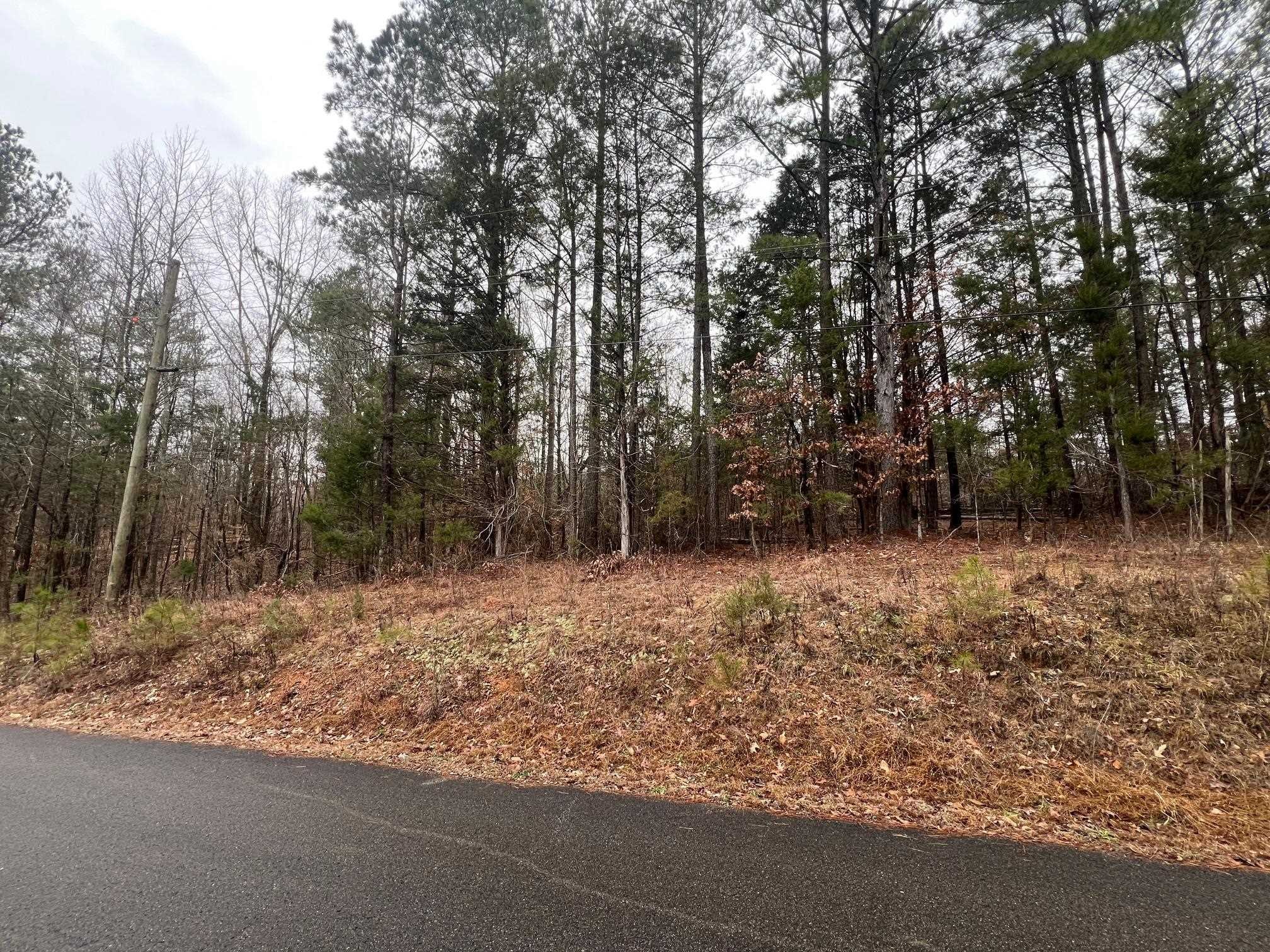 156 Iron Horse Trail Parsons TN 38363