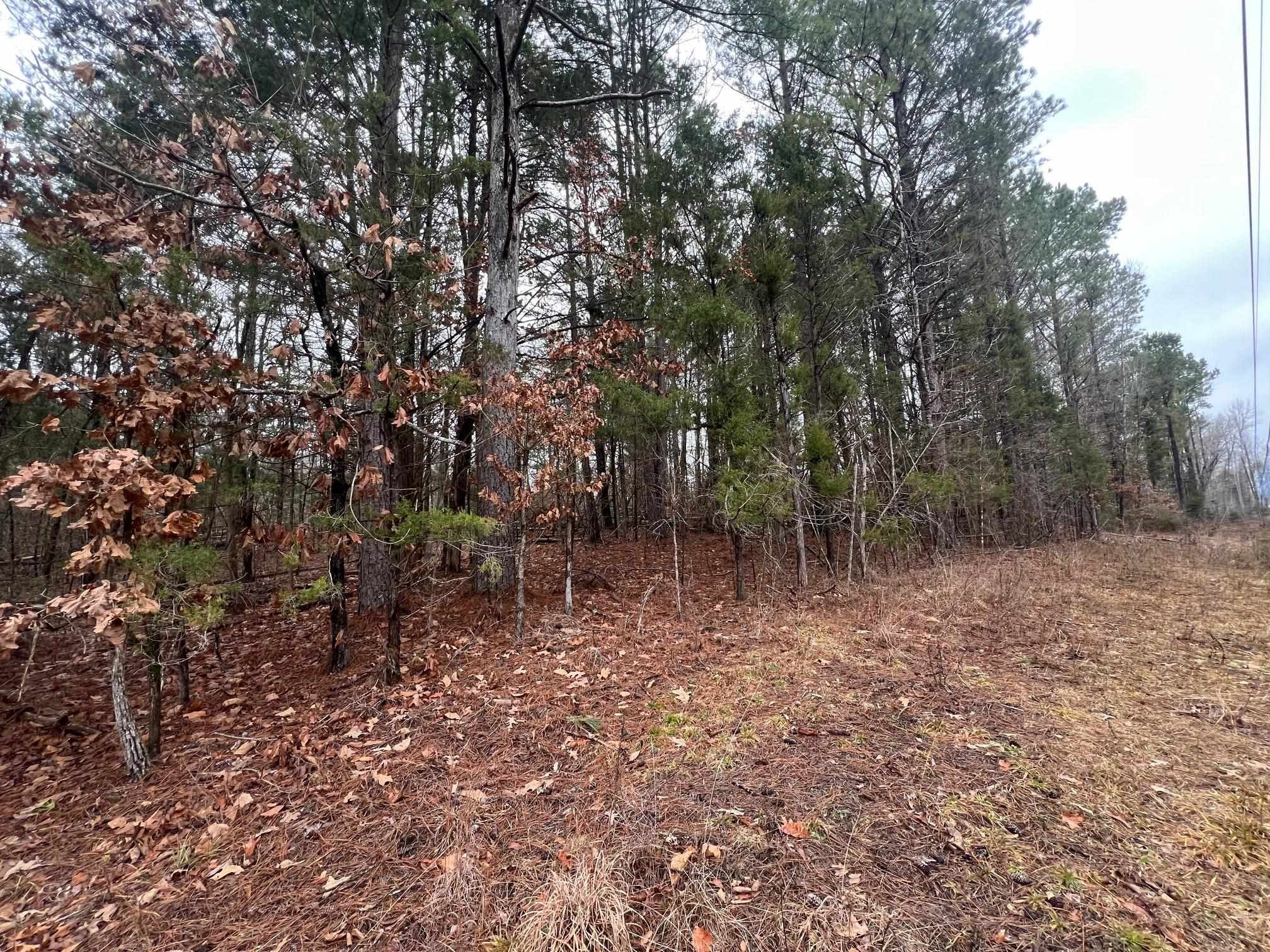 156 Iron Horse Trail Parsons TN 38363