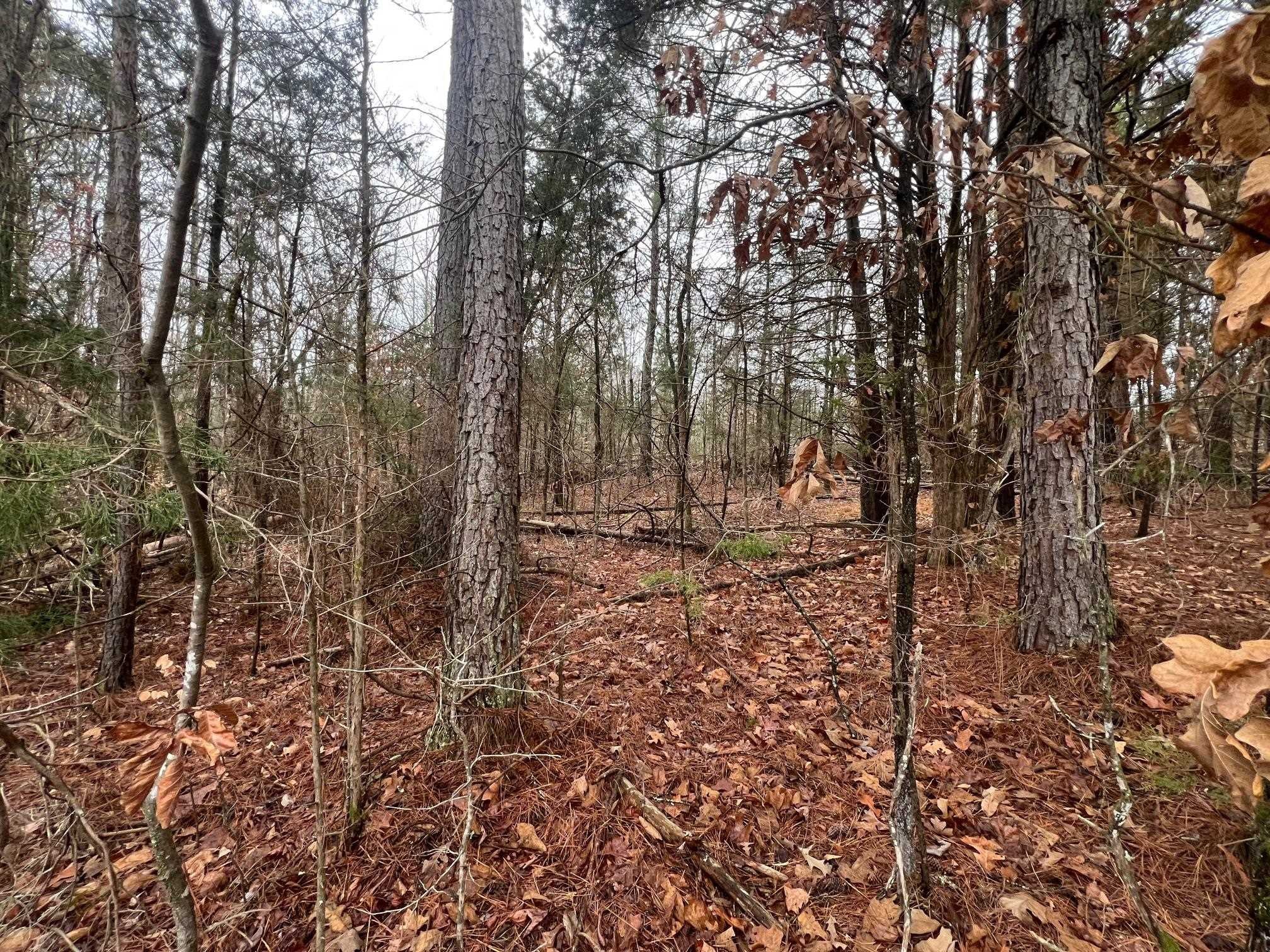 156 Iron Horse Trail Parsons TN 38363