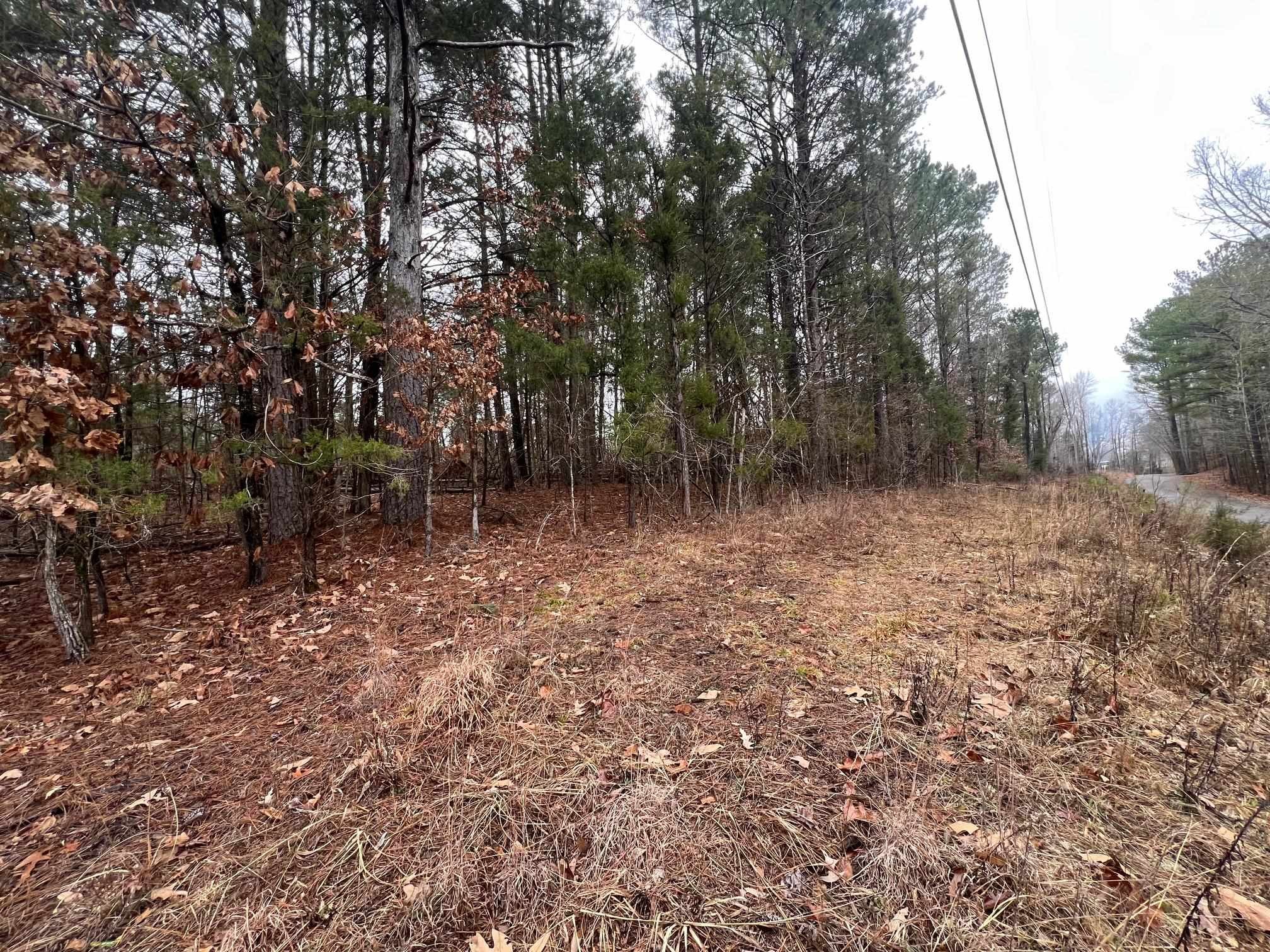 156 Iron Horse Trail Parsons TN 38363