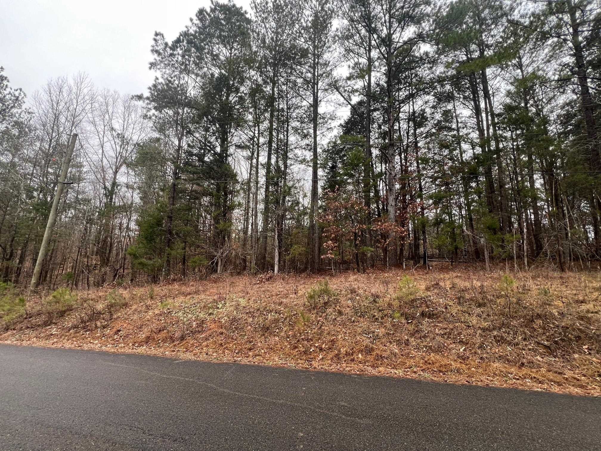 156 Iron Horse Trail Parsons TN 38363