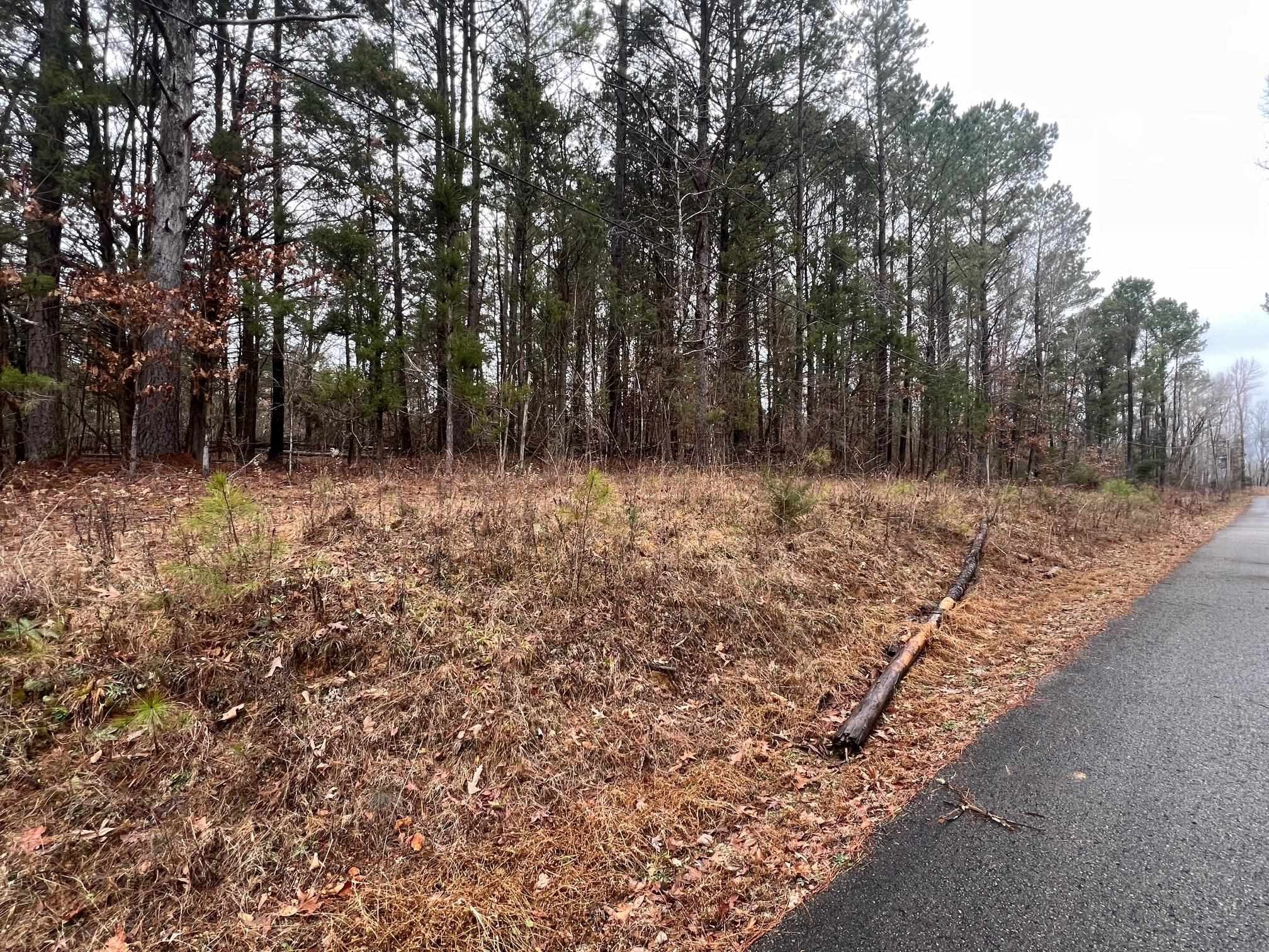 156 Iron Horse Trail Parsons TN 38363