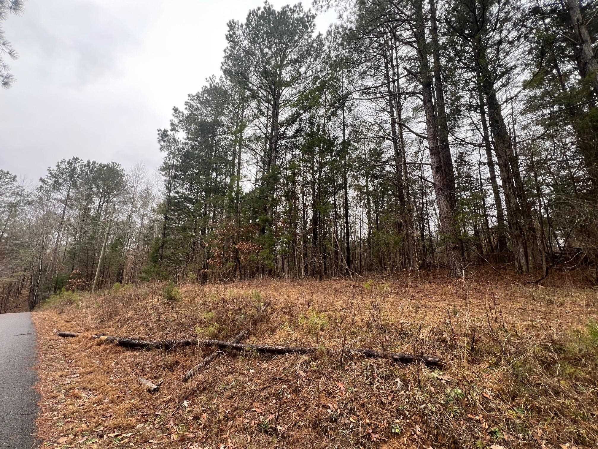 156 Iron Horse Trail Parsons TN 38363
