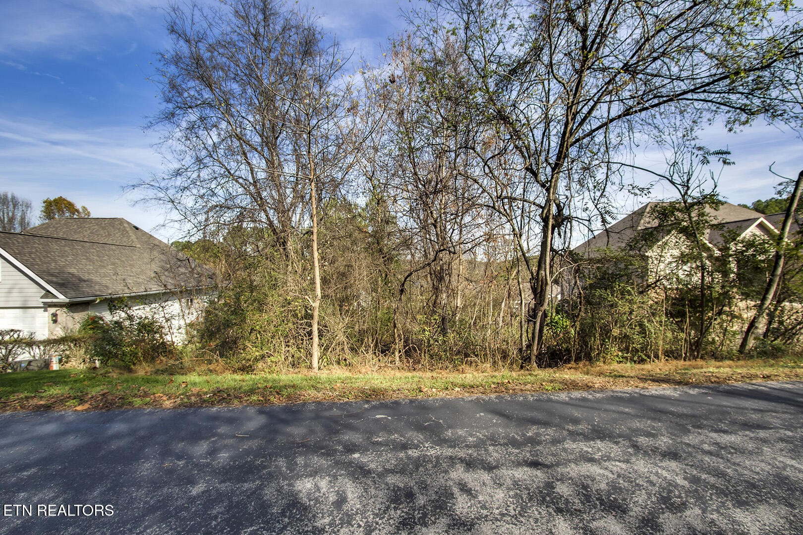 306 Awohili Lane Loudon TN 37774