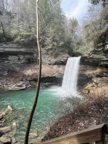 422 Dollar Drive Altamont TN 37301