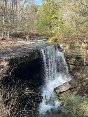 422 Dollar Drive Altamont TN 37301