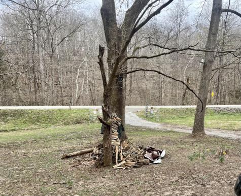 6445 Highway 48, N Cumberland Furnace TN 37051