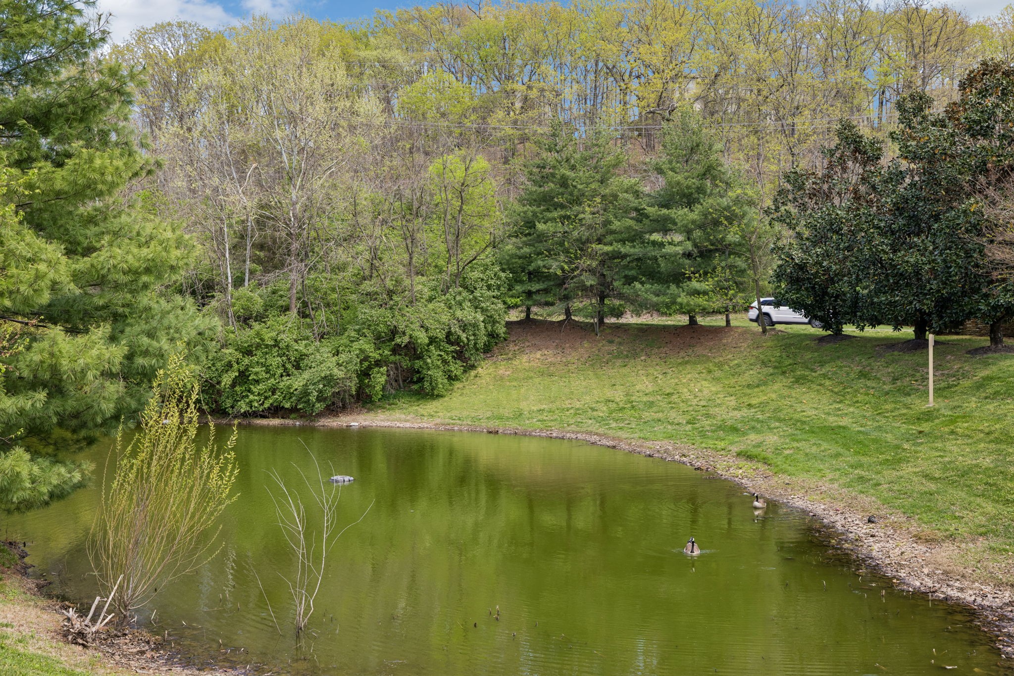 1040 Woodbury Falls Drive Nashville TN 37221