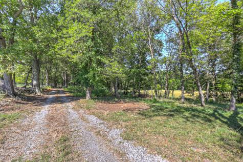 0 SE Tater Peeler Road Lebanon TN 37090