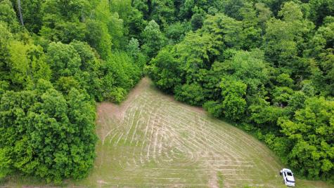 0 Love Branch Road Hampshire TN 38461