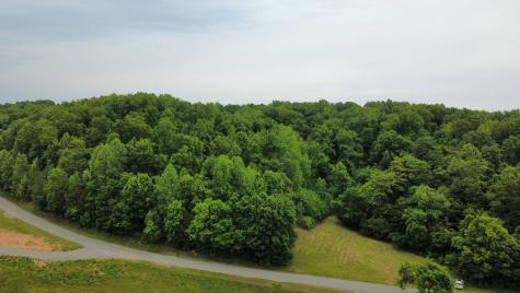 0 Love Branch Road Hampshire TN 38461