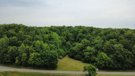 0 Love Branch Road Hampshire TN 38461
