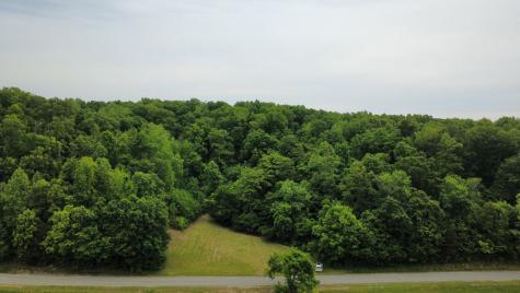 0 Love Branch Road Hampshire TN 38461