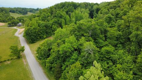 0 Love Branch Road Hampshire TN 38461