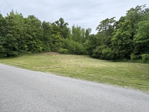 0 Love Branch Road Hampshire TN 38461
