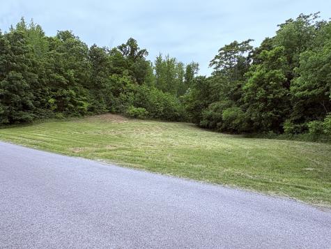 0 Love Branch Road Hampshire TN 38461