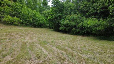0 Love Branch Road Hampshire TN 38461