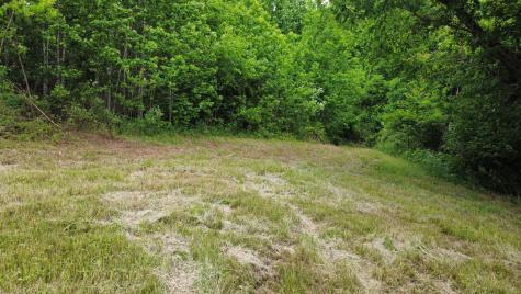 0 Love Branch Road Hampshire TN 38461