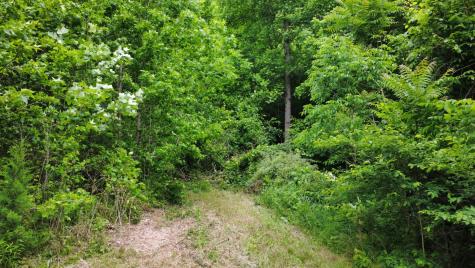 0 Love Branch Road Hampshire TN 38461
