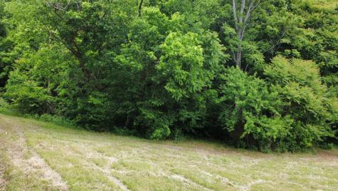 0 Love Branch Road Hampshire TN 38461