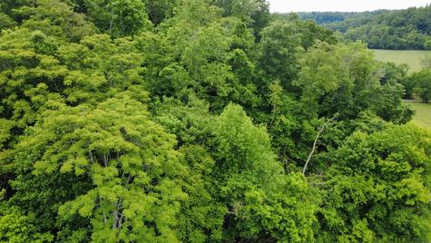 0 Love Branch Road Hampshire TN 38461