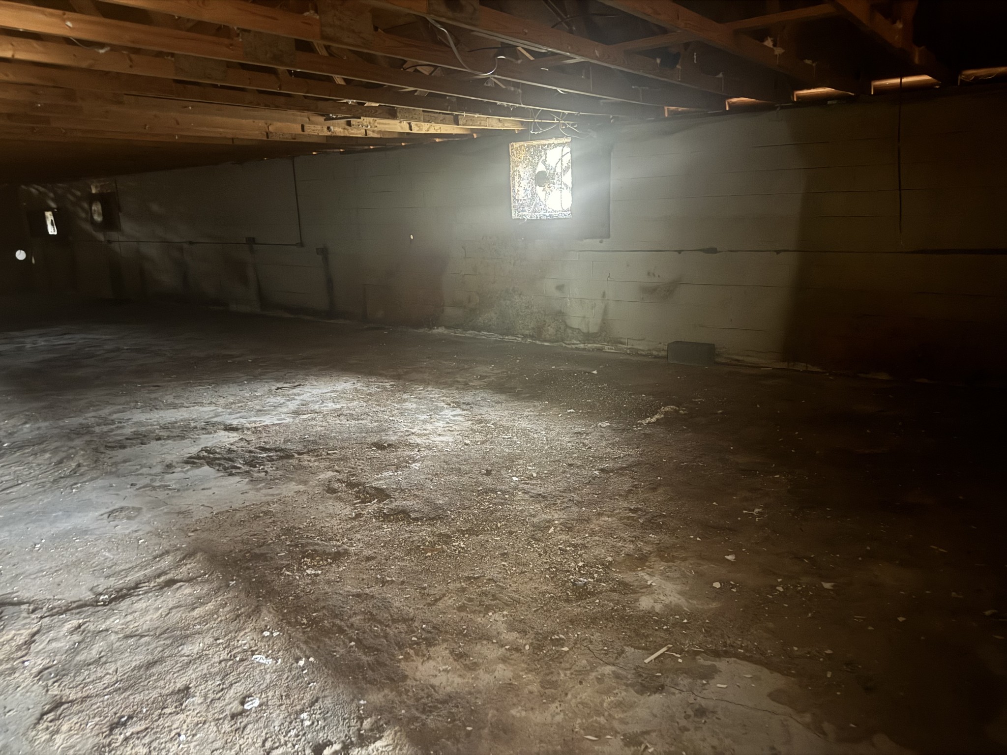 3990 Highway 431 Columbia TN 38401