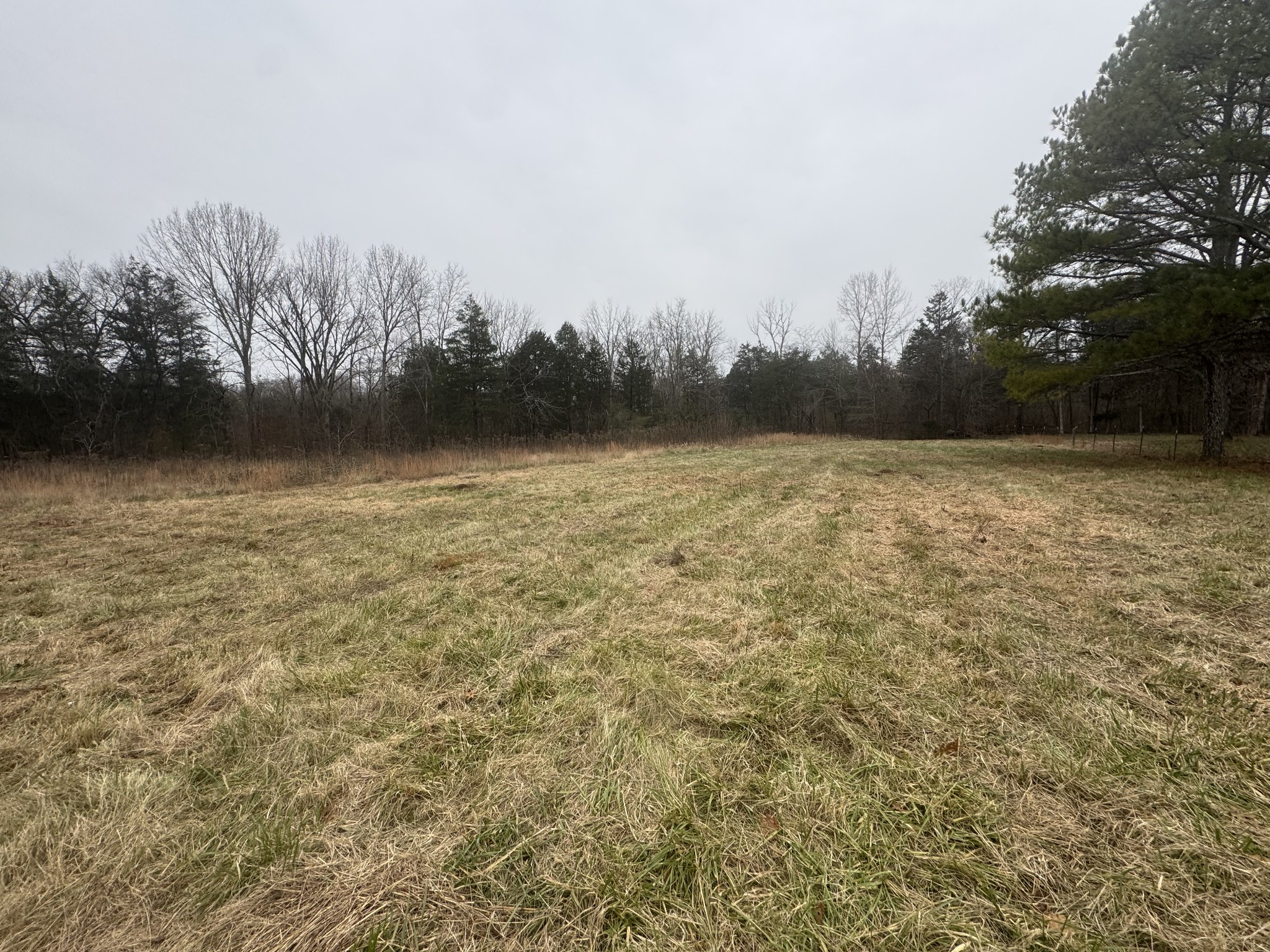 3990 Highway 431 Columbia TN 38401