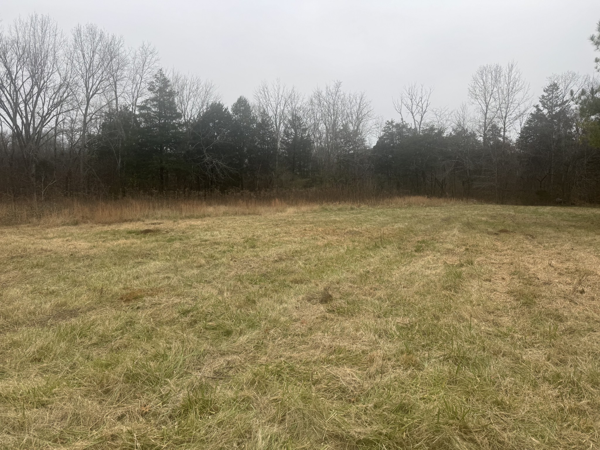 3990 Highway 431 Columbia TN 38401