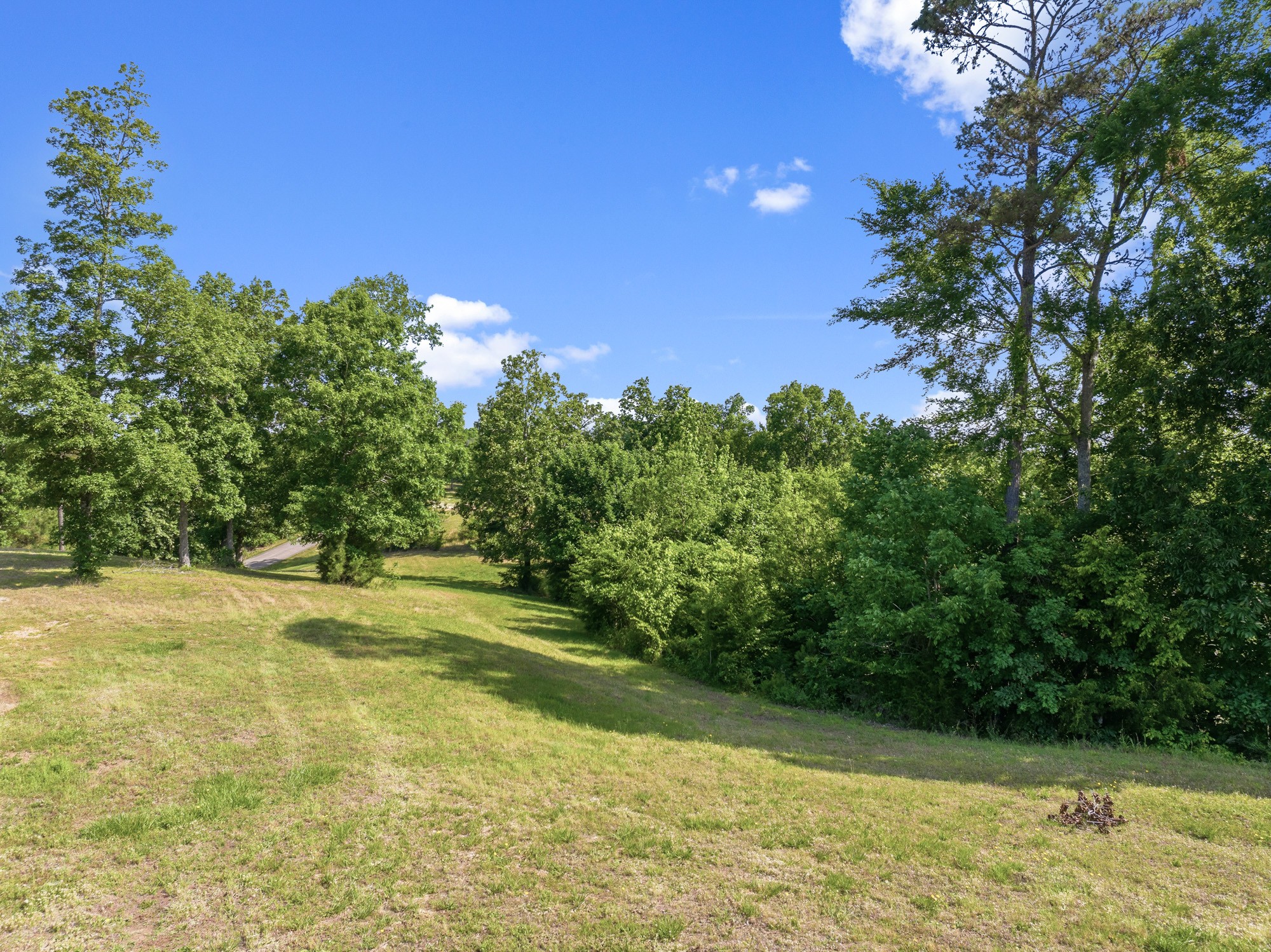 117 Riverbreeze Drive Sugar Tree TN 38380