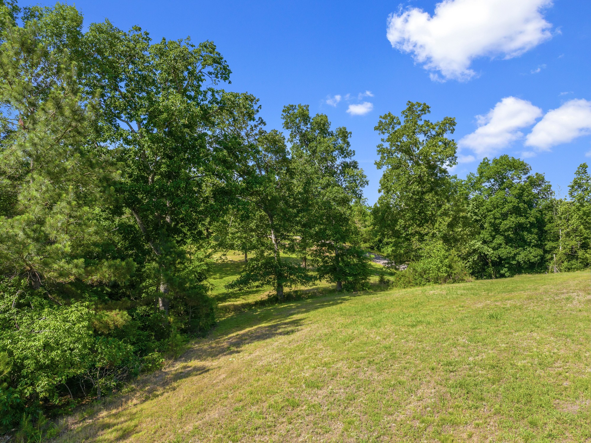 117 Riverbreeze Drive Sugar Tree TN 38380