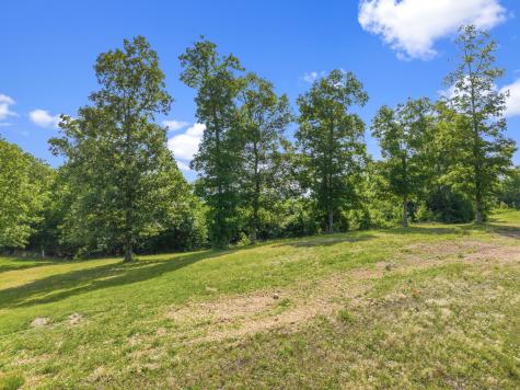 117 Riverbreeze Drive Sugar Tree TN 38380