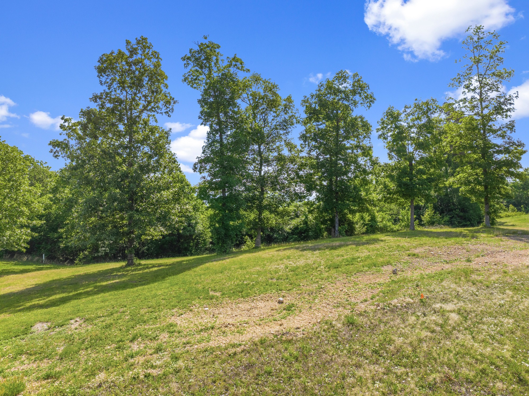117 Riverbreeze Drive Sugar Tree TN 38380