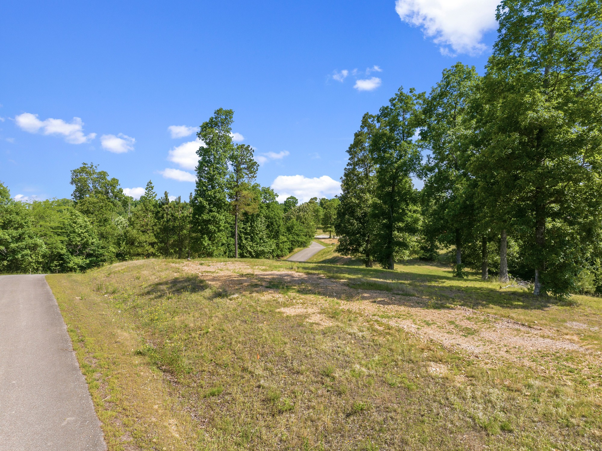 117 Riverbreeze Drive Sugar Tree TN 38380