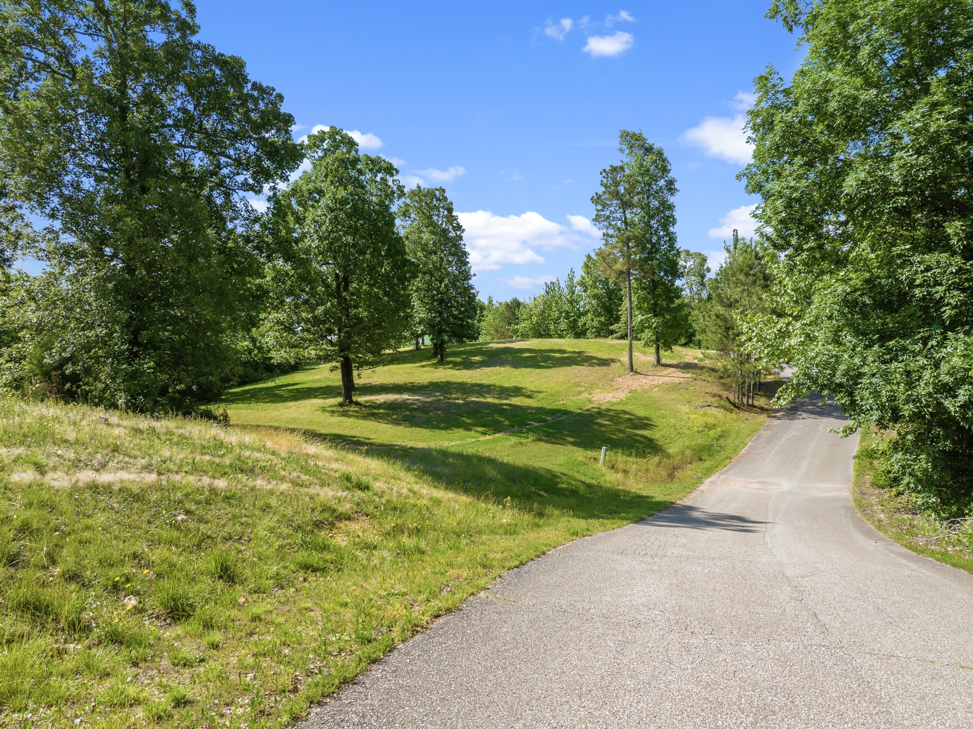 117 Riverbreeze Drive Sugar Tree TN 38380