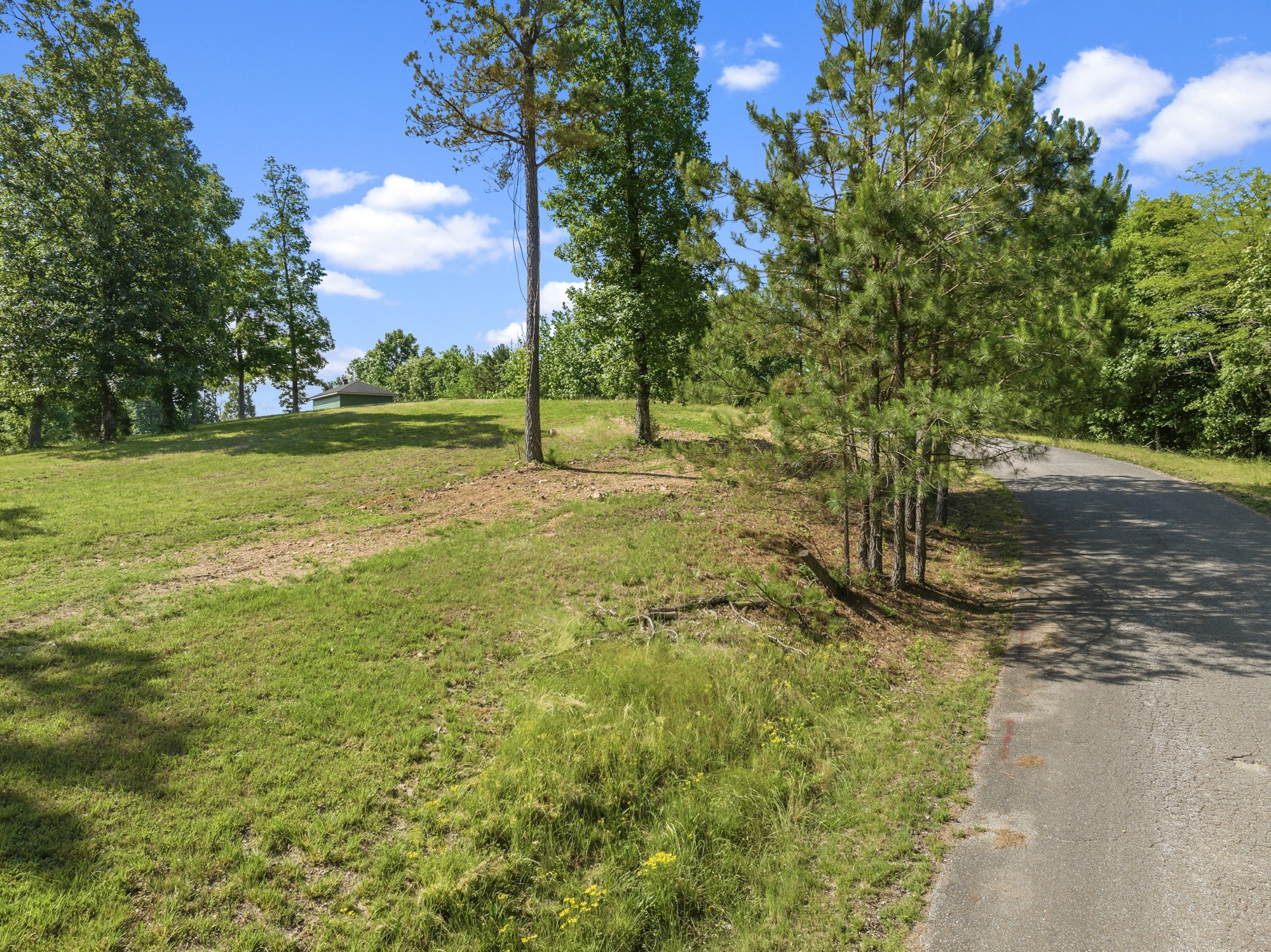 117 Riverbreeze Drive Sugar Tree TN 38380