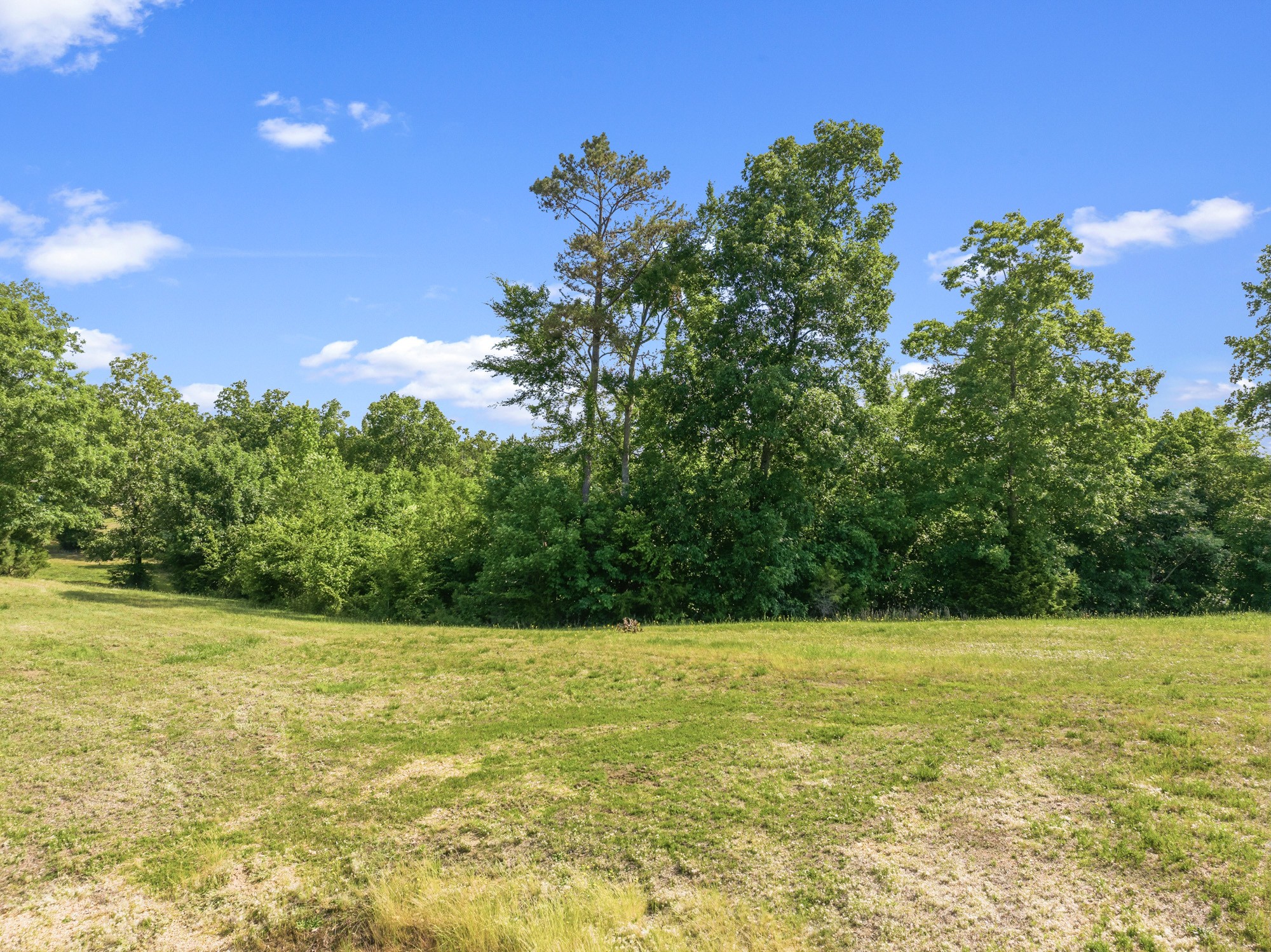 117 Riverbreeze Drive Sugar Tree TN 38380