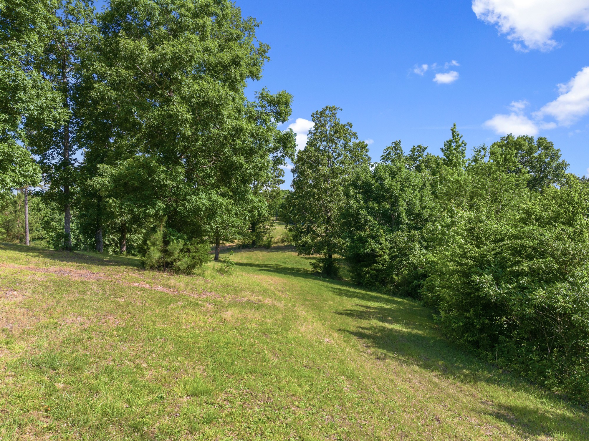 117 Riverbreeze Drive Sugar Tree TN 38380