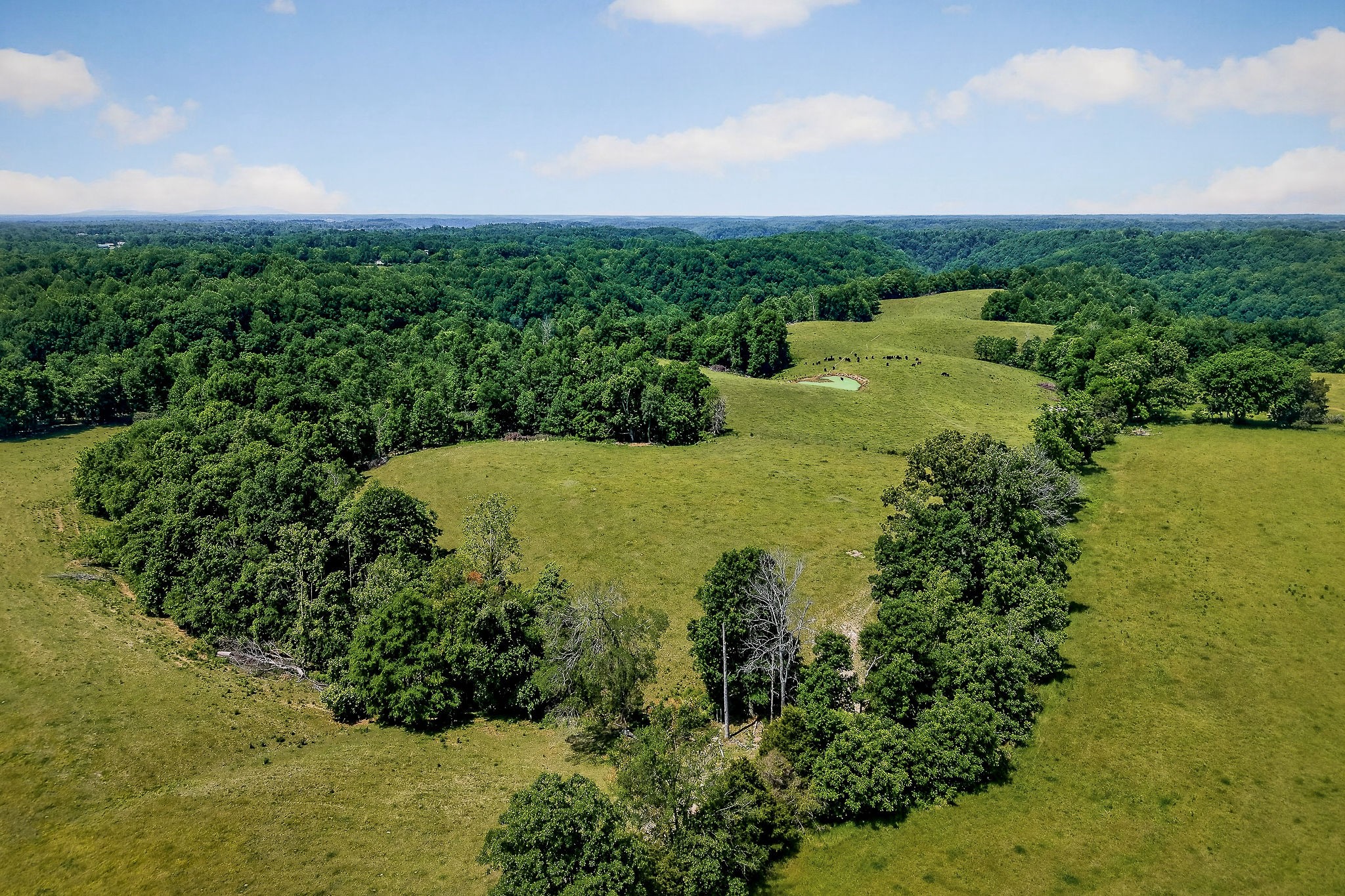 8495 Baxter Road Baxter TN 38544
