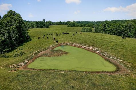 8495 Baxter Road Baxter TN 38544