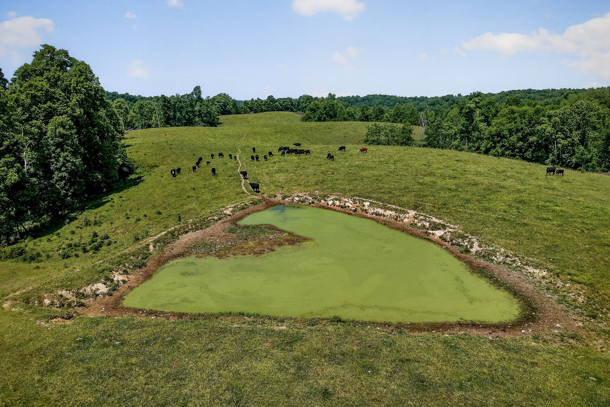 8495 Baxter Road Baxter TN 38544