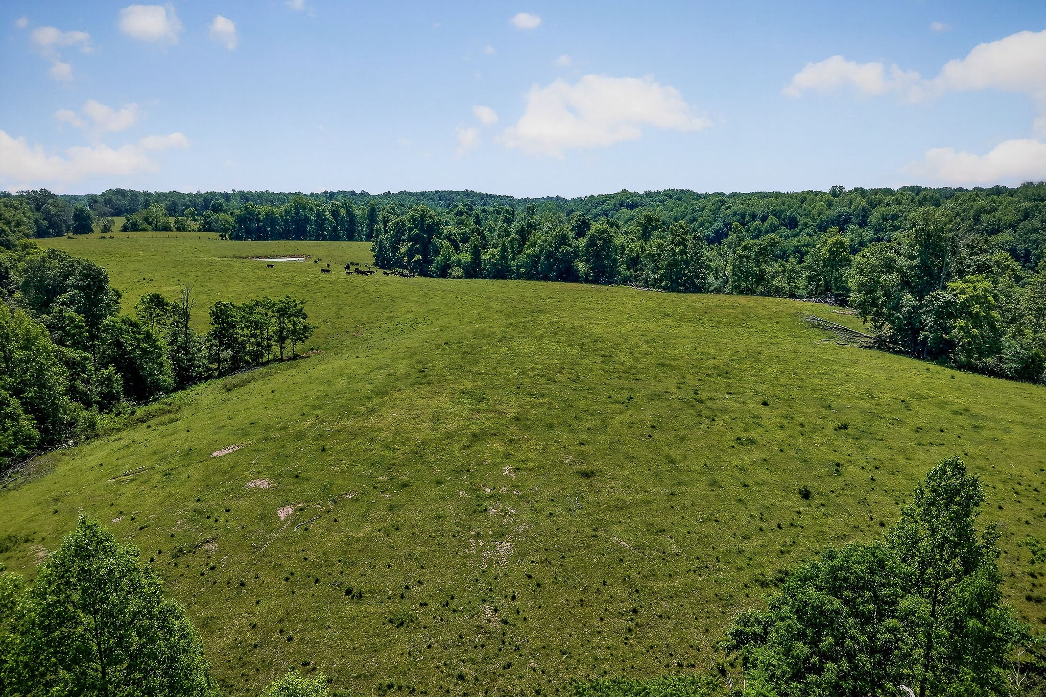 8495 Baxter Road Baxter TN 38544