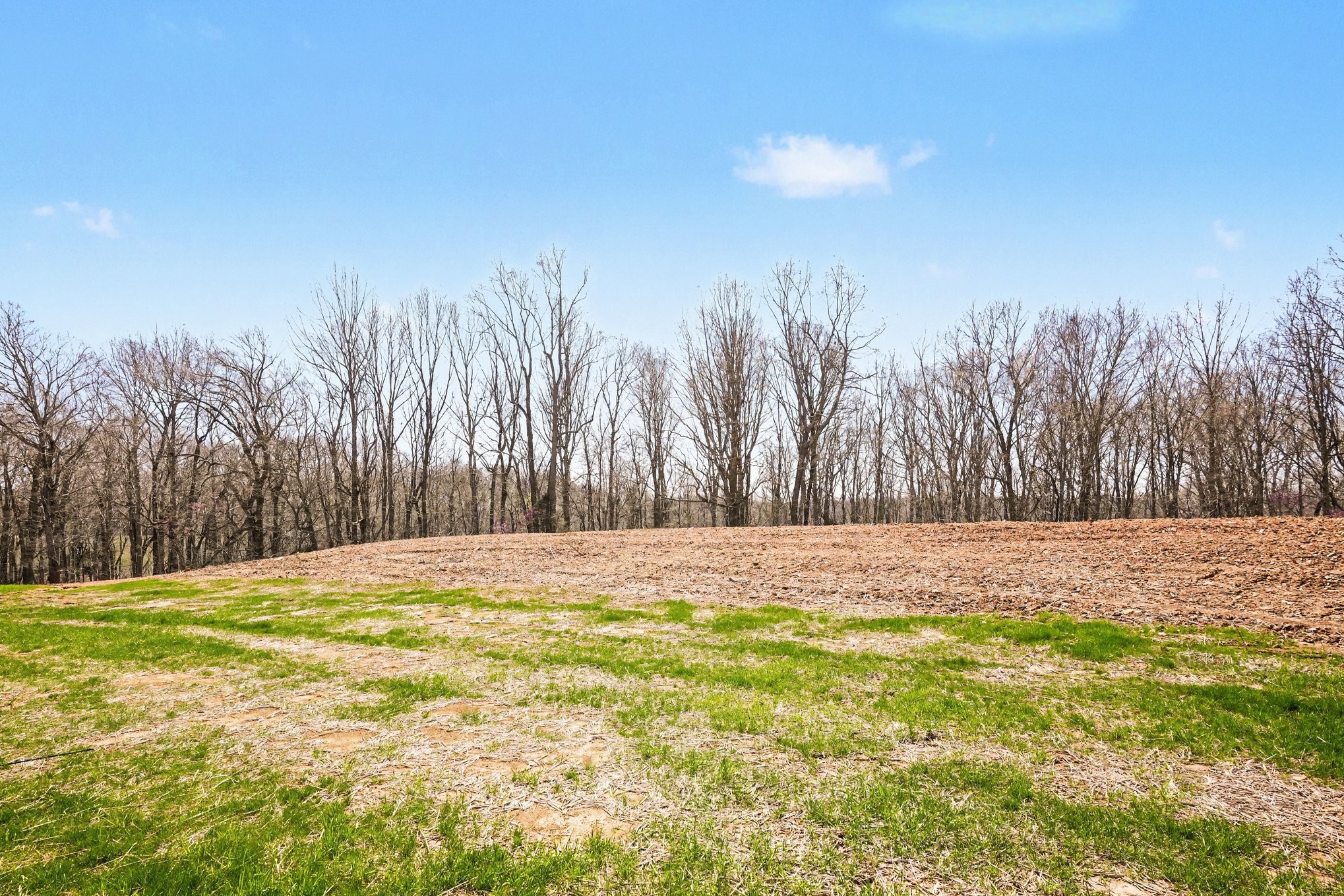 2031 Eagles Bluff Drive Pleasant View TN 37146