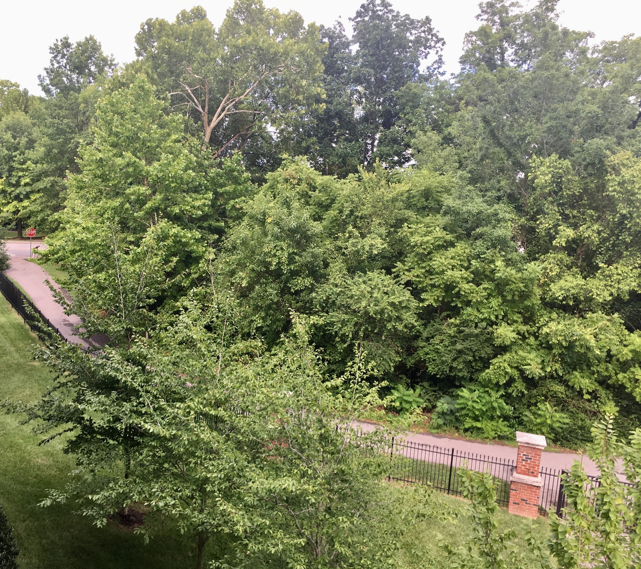 3201 Aspen Grove Drive Franklin TN 37067