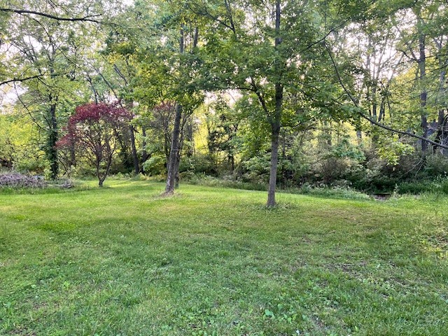 698 Clearview Road Cottontown TN 37048