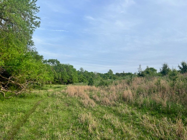 698 Clearview Road Cottontown TN 37048